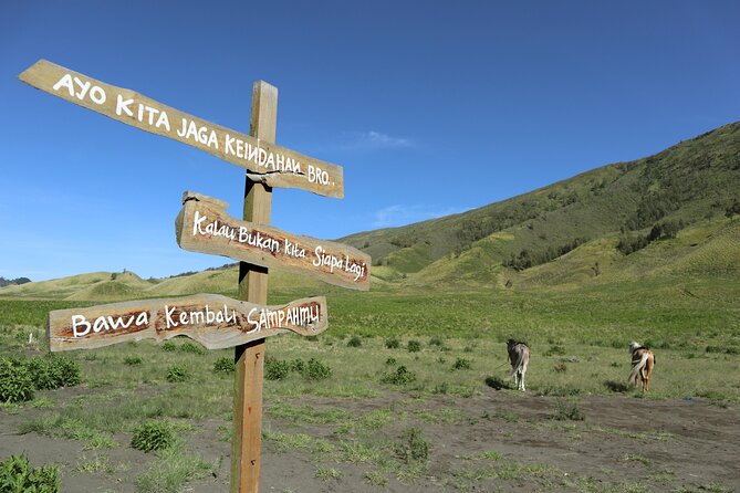1 Day - Bromo Morning Tour start MALANG or SURABAYA // 7.30-16:00 - Why this Bromo format works