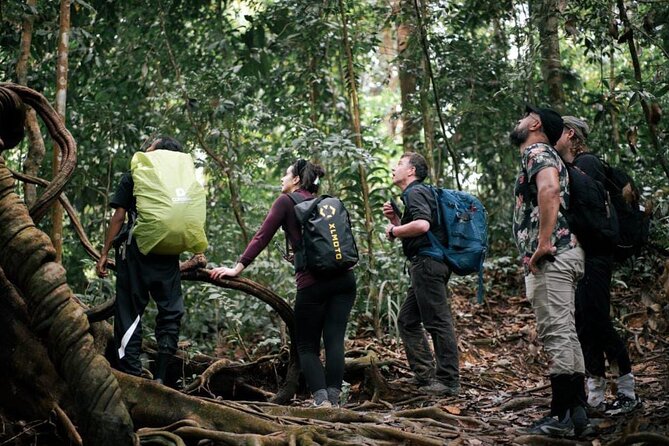 1 Day Ethical Jungle Trekking - Starting in Bukit Lawang at 9:00 am