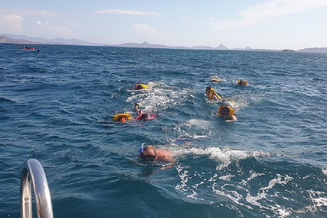 1- day Komodo Island Hopping Tour by Speed Boat departure From Labuan bajo - The 5:30am Start from Labuan Bajo