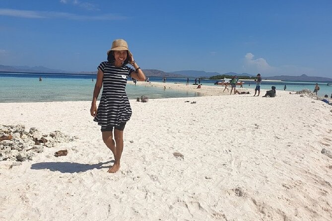 1- day Komodo island Tour hopping around by Speed Boat - The Komodo day trip at a glance