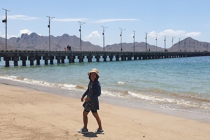 1- day Komodo island Tour hopping around by Speed Boat - Manta Point and the limits of wildlife snorkeling