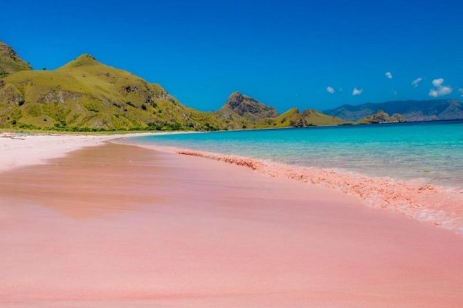 1 Day Komodo Trip by Private Fast Boat - A fast start from Labuan Bajo at 7 a.m.