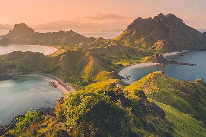 1 Day Komodo Trip by Private Fast Boat - Pink Beach: a short, colorful pause