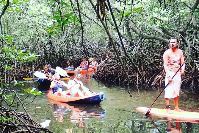 1 Hour Mangrove Tour From Lembongan with Kayak, Paddle, or Boat - What the Nusa Lembongan mangrove outing is really like
