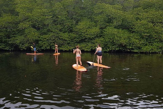 1 Hour Mangrove Tour From Lembongan with Kayak, Paddle, or Boat - One hour can mean different things