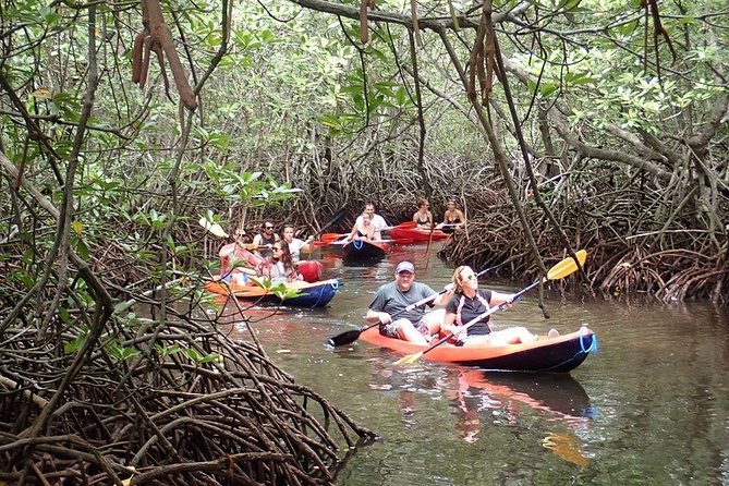 1 Hour Mangrove Tour From Lembongan with Kayak, Paddle, or Boat - Is $10.70 good value?