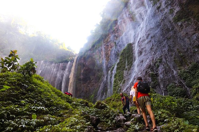 1Day - Tumpak Sewu Waterfall and Goa Tetes Cave Trekking - Key Points Before You Book