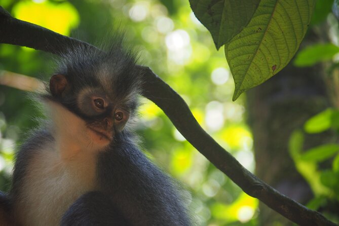 2-Day Jungle Trekking & Rafting in North Sumatra - What is included for $157.05