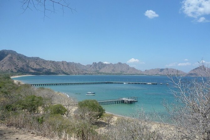 2-Day Komodo National Park and Rinca Island Wildlife Adventure from Bali - What the $743.60 price really covers