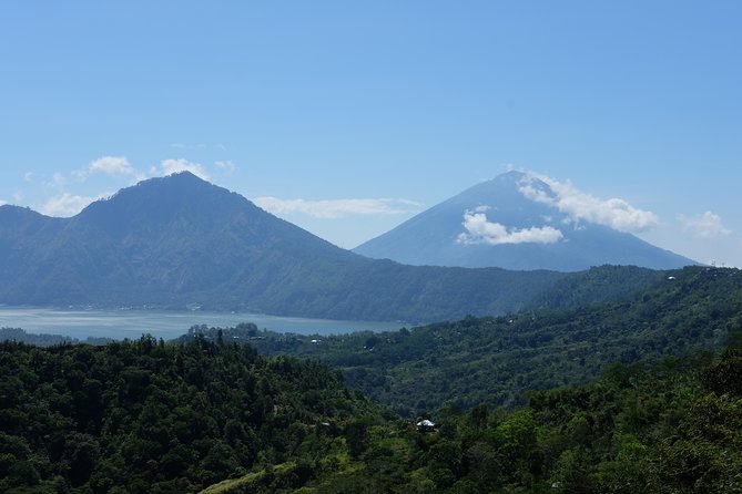 2-Day Private Sightseeing Tour of Bali with Hotel Pickup - Day two: royal grounds, forest water, and a mountain lake