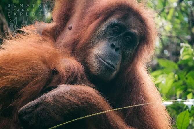 2 Days and 1 Night Ethical Jungle Trek - What makes this trek worth your time