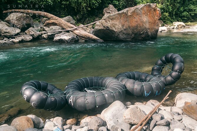 2 Days and 1 Night Ethical Jungle Trek - How ethical is the setup?