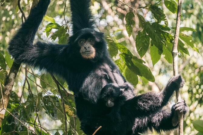 2 Days and 1 Night Ethical Jungle Trek - Who should book this jungle trek?