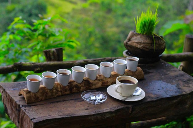 2 Days Best of Bali Famous Tour Packages - Wanagiri’s twin lakes and photo stops