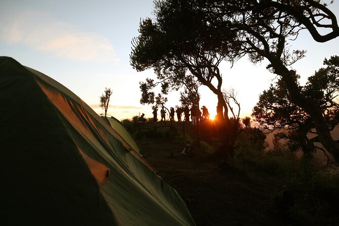 2 Days - Bromo Camping // 14.00 - 13.00 - Why this Bromo camping trip feels different