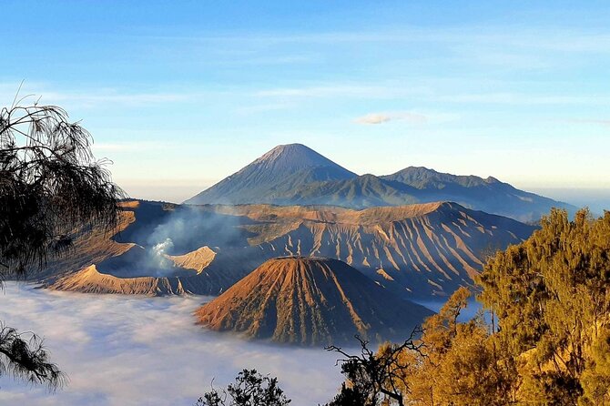 2 Days Private Tour Ijen and Bromo from Banyuwangi - Is $225 per person good value?