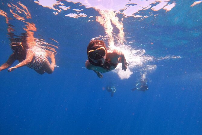 2 Days Tour to explore Labuan Bajo and Komodo Island - Five things to know before booking