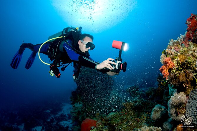2 or 3 dives in Nusa Lembongan and Penida, for certified diver (in Lembongan) - Crystal Bay: a famous second stop