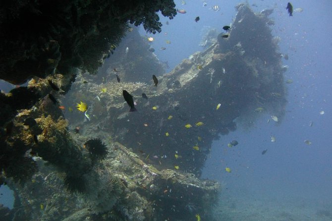 2 PADI Certified Dives at Tulamben from Bali - Why Tulamben makes a good Bali scuba day