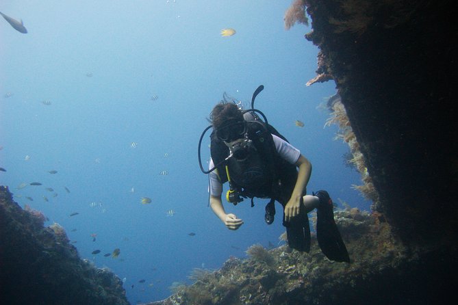 2 PADI Certified Dives at Tulamben from Bali - Safety, certification, and flight planning