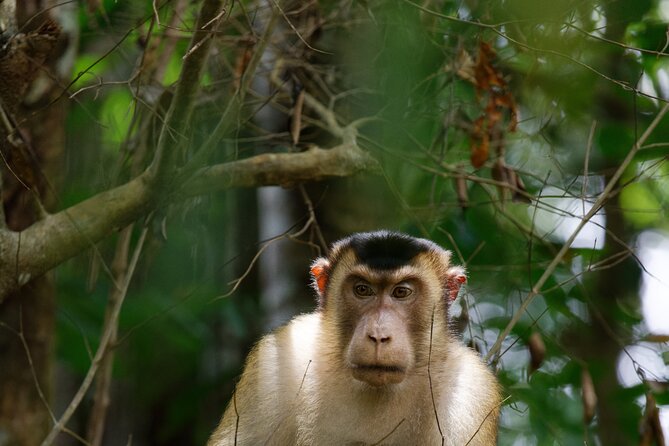 3-Day Bukit Lawang Tour Including 1-Day Ethical Jungle Trekking - Traditional tube rafting after the forest walk