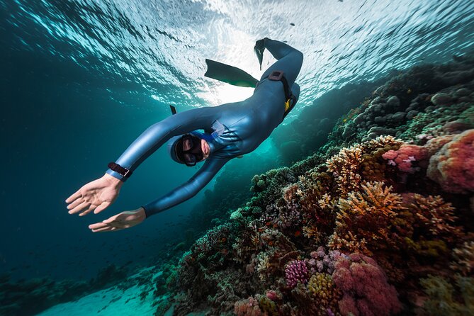 3-Day Freediving Level 1 Course - Key points before you book