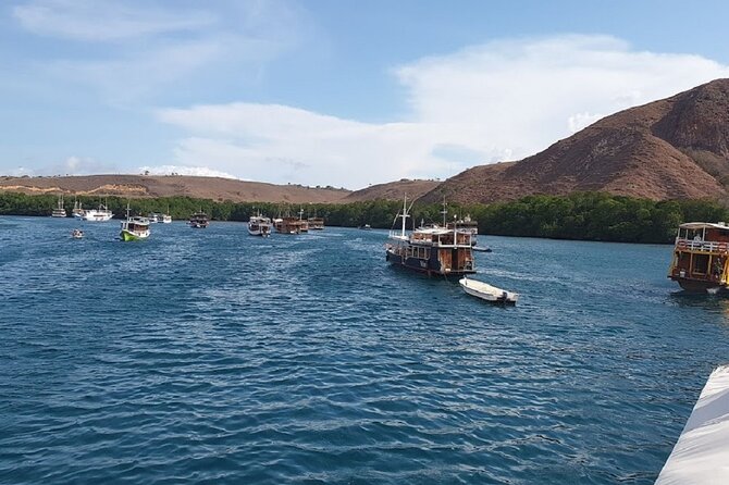 3-Day Komodo island Tour with or without Roundtrip Flight From Bali - Flight or no flight from Bali?