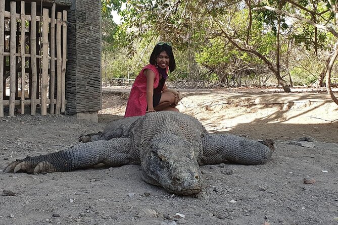 3-Day Komodo island Tour with or without Roundtrip Flight From Bali - Day one: Kelor, Manjarite, Rinca, and flying foxes