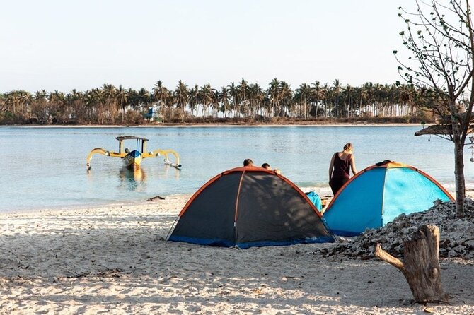 3 Days Lombok Sharing Tour - Day Two: Turtles, Coral, and Underwater Art