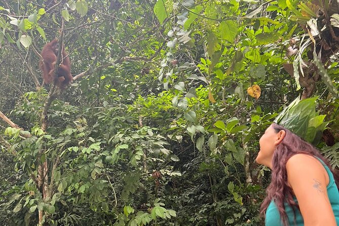 3 Days Orangutan Sumatra Jungle Trekking with Rafting - Two nights at riverside forest camps