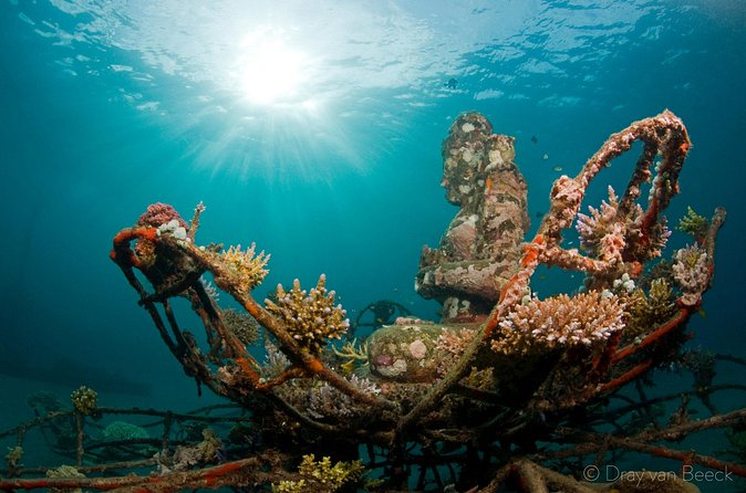 3 Days PADI Open Water Course in Pemuteran - What the $425 price buys you
