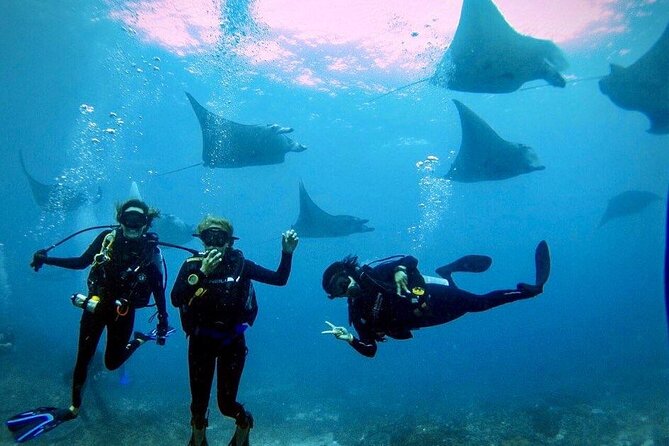 3 Epic Dives in Nusa Penida - Certified Divers' Day Trip - Why Nusa Penida Is the Main Attraction