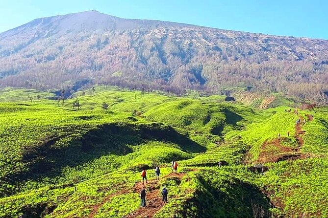 3D 2N Mount Rinjani Trekking Tour To Summit And Lake - What the praise gets right, and where to stay alert
