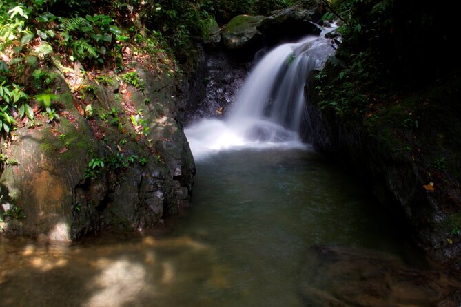 3D2N Jungle Trek | 2 Night accommodation | Pick up and drop off - Two nights under canvas, with simple jungle comforts