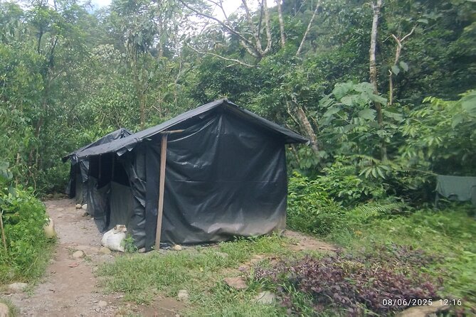 3D2N Jungle Trek | 2 Night accommodation | Pick up and drop off - Day 3: farther into the forest