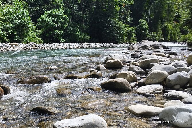 3D2N Jungle Trek | 2 Night accommodation | Pick up and drop off - Day 5: returning to Medan