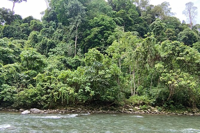 3D2N Jungle Trek | 2 Night accommodation | Pick up and drop off - Safety, weather, and the effort required