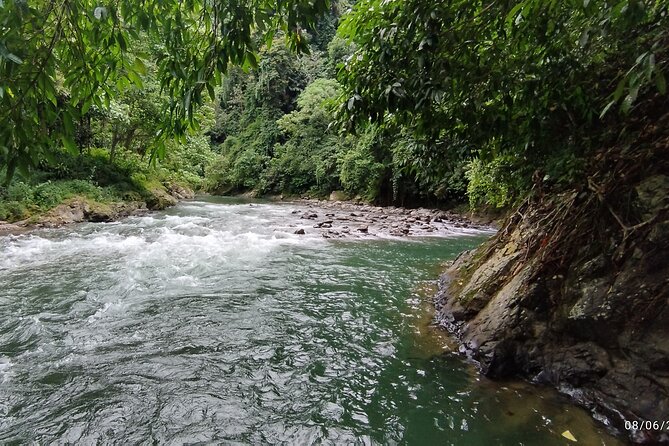 3D2N Jungle Trek | 2 Night accommodation | Pick up and drop off - Day 2: first steps into the Bukit Lawang jungle
