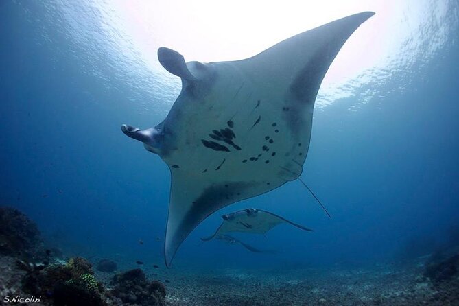 3D2N Sailing Komodo Living on Board Fiday to Sunday (Labuan Bajo) - Booking details worth checking first