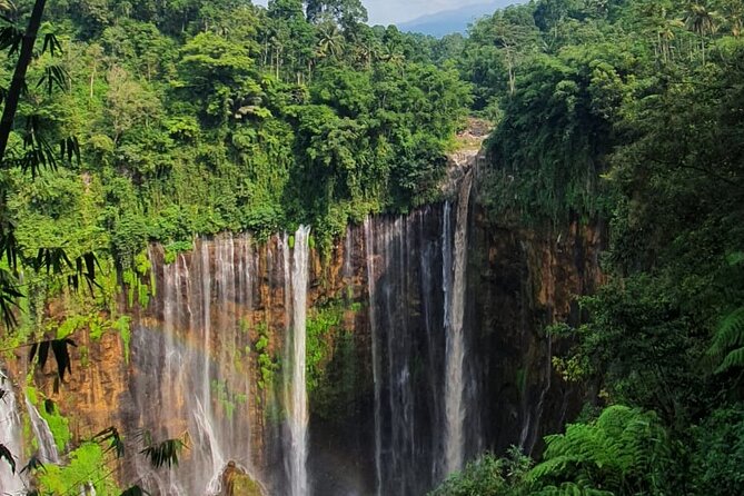 3Days - Tumpaksewu Bromo Ijen Adventure via Malang or Surabaya - Day three: Ijen Crater and the midnight climb
