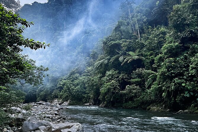 4 Day Jungle Adventure including 2 day trek - Day 1: Leave Medan for Bukit Lawang