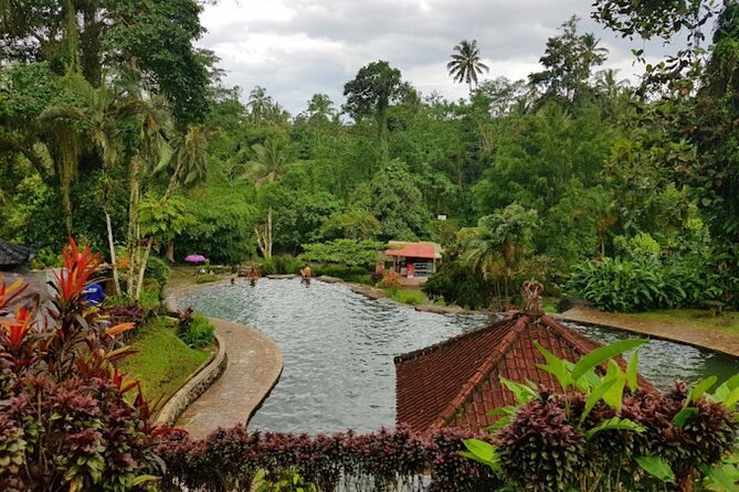 4-Hour Private Tour in Jatiluwih Terraces and Butterfly Park - Penatahan Hot Spring: a warm finish