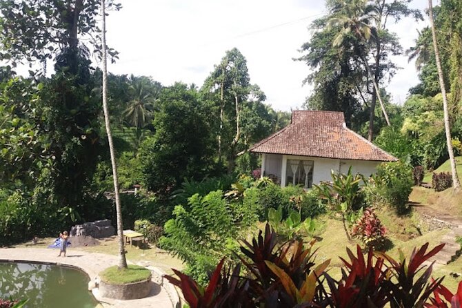 4-Hour Private Tour in Jatiluwih Terraces and Butterfly Park - Why the private vehicle makes a difference