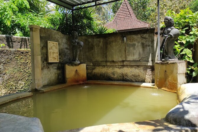 4-Hour Private Tour in Jatiluwih Terraces and Butterfly Park - Timing, food, and what to budget