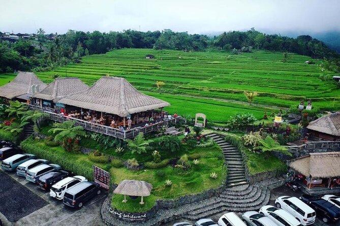 4-Hour Private Tour in Jatiluwih Terraces and Butterfly Park - Jatiluwih’s rice terraces: the main scenic reward