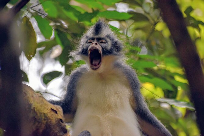 5 Days North Sumatra Adventure : Bukit Lawang & Mount Sibayak - The four-hour road to Bukit Lawang