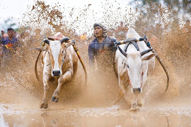 5-Days Private Tour in West Sumatera - Five details that shape the experience