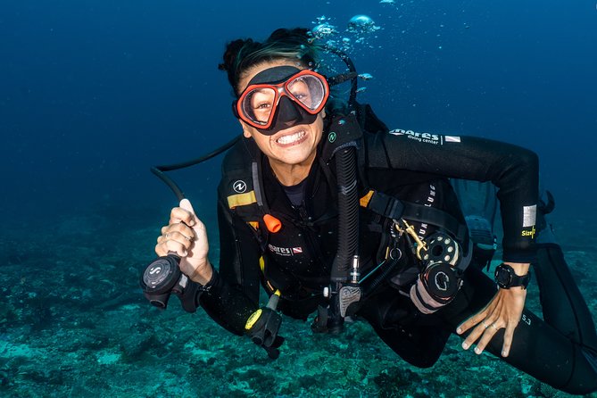 5 Fun Dives in Nusa Lembongan (for certified divers) - Swim with a Mola Mola - Key things to know before booking
