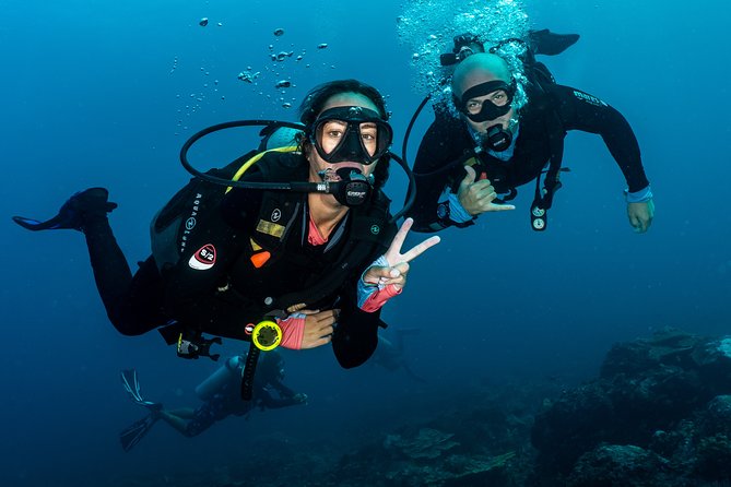 5 Fun Dives in Pemuteran (for certified divers) - Exploration in Menjangan Park - Equipment, instruction, and the refresher rule