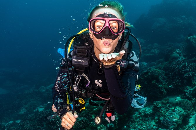 5 Fun Dives in Pemuteran (for certified divers) - Exploration in Menjangan Park - From the center to Menjangan Island